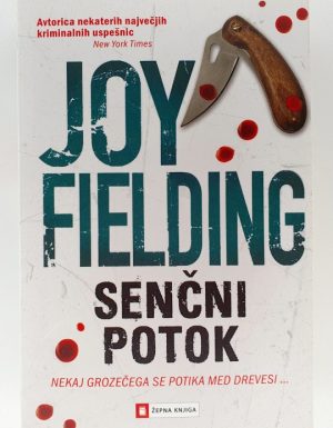 Senčni potok