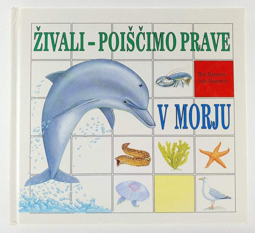 Živali - poiščimo prave : v morju