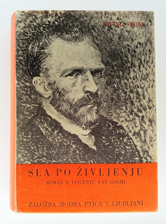 Sla po življenju : roman o Vincent van Goghu