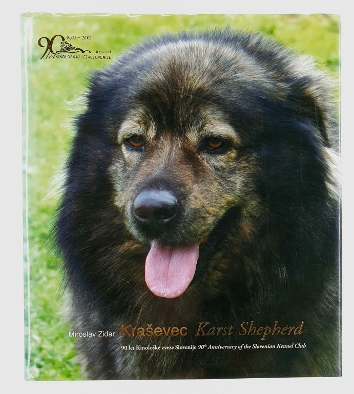 Kraševec = Karst Shepherd