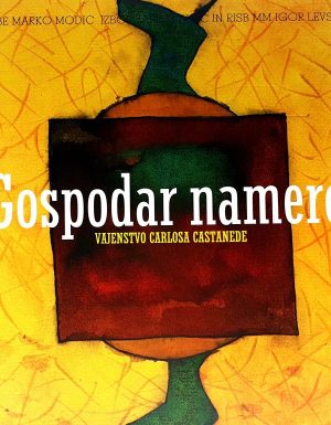Gospodar namere vajenstvo Carlosa Castanede