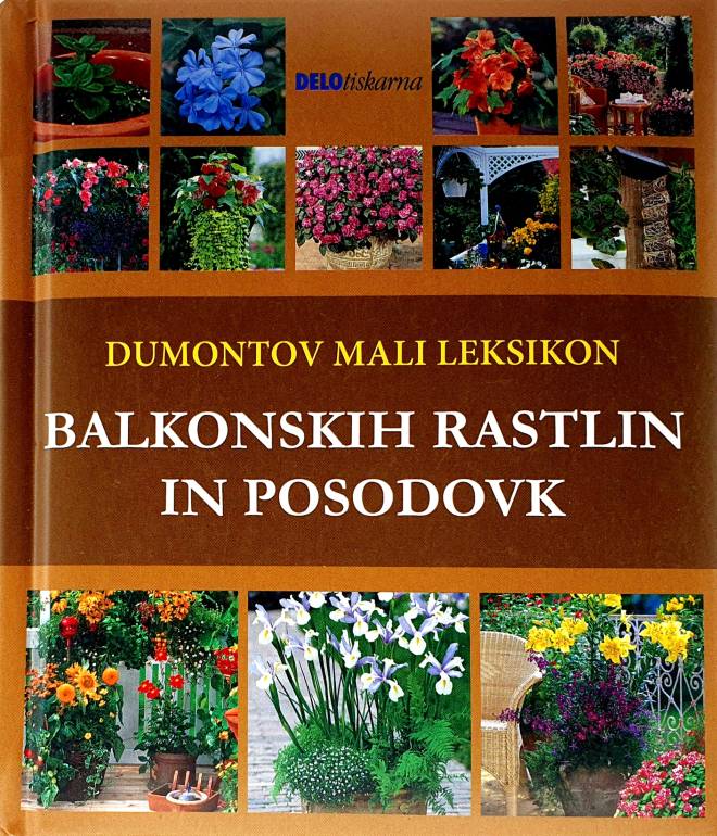 Dumontov mali leksikon balkonskih rastlin in posodovk