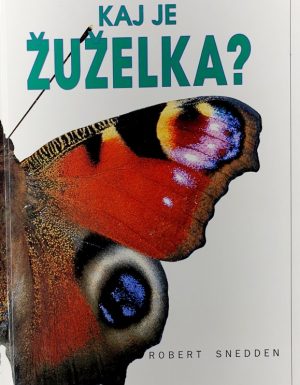 Kaj je žuželka?
