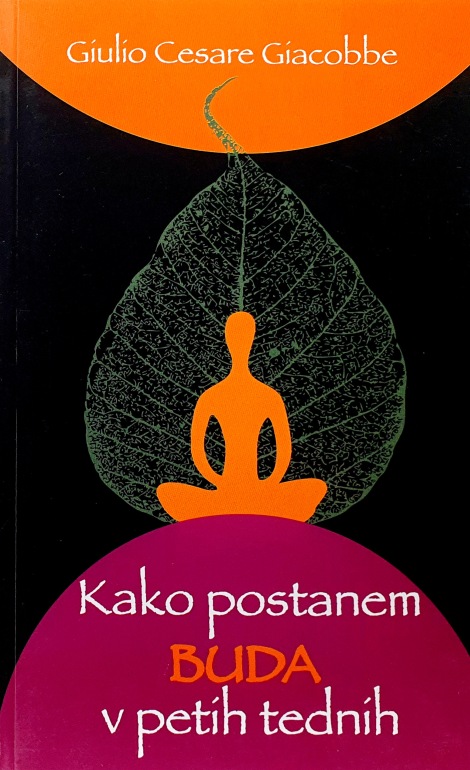 Kako postanem buda v petih tednih