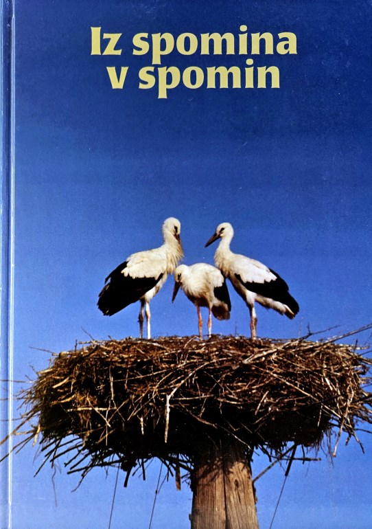 Iz spomina v spomin : ob 25-letnici slovenske župnije v Berlinu 1969-1994