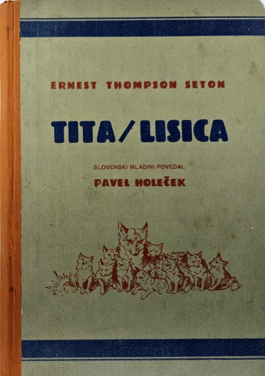 Tita lisica