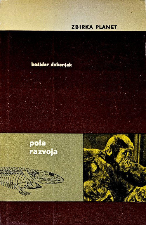 Pota razvoja