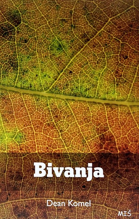 Bivanja