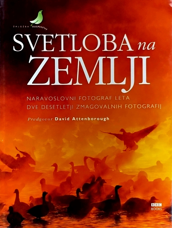 Svetloba na zemlji