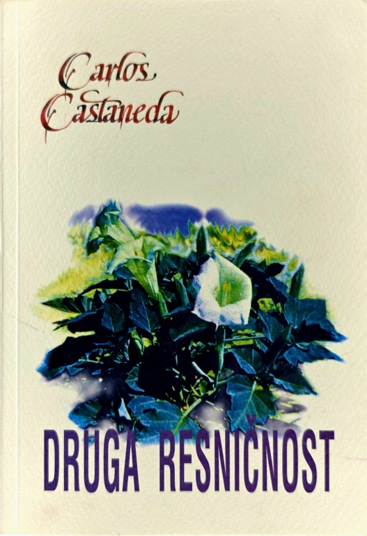 Druga resničnost