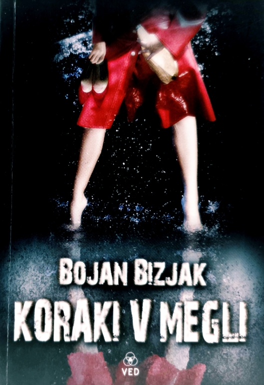 Koraki v megli